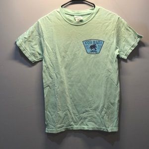 Mint comfort colors tee